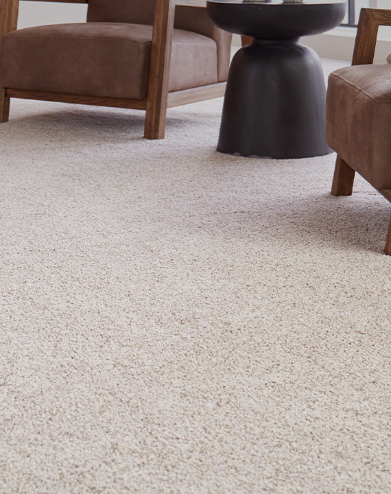 Carpet in in Orlando, FL